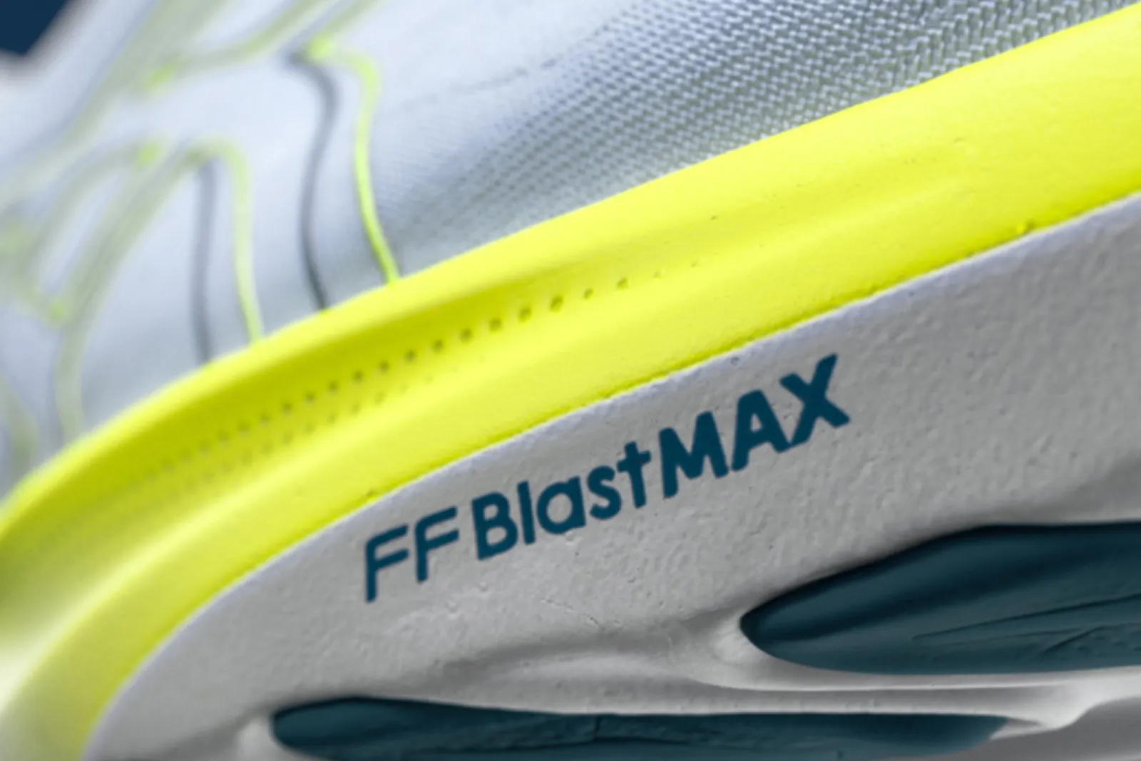 ASICS GT-2000™ 14: Everything You Need to Know