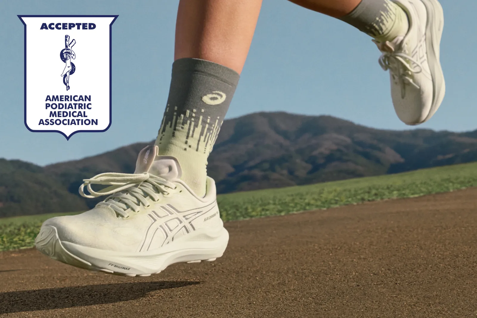 ASICS GT-2000™ 14: Everything You Need to Know